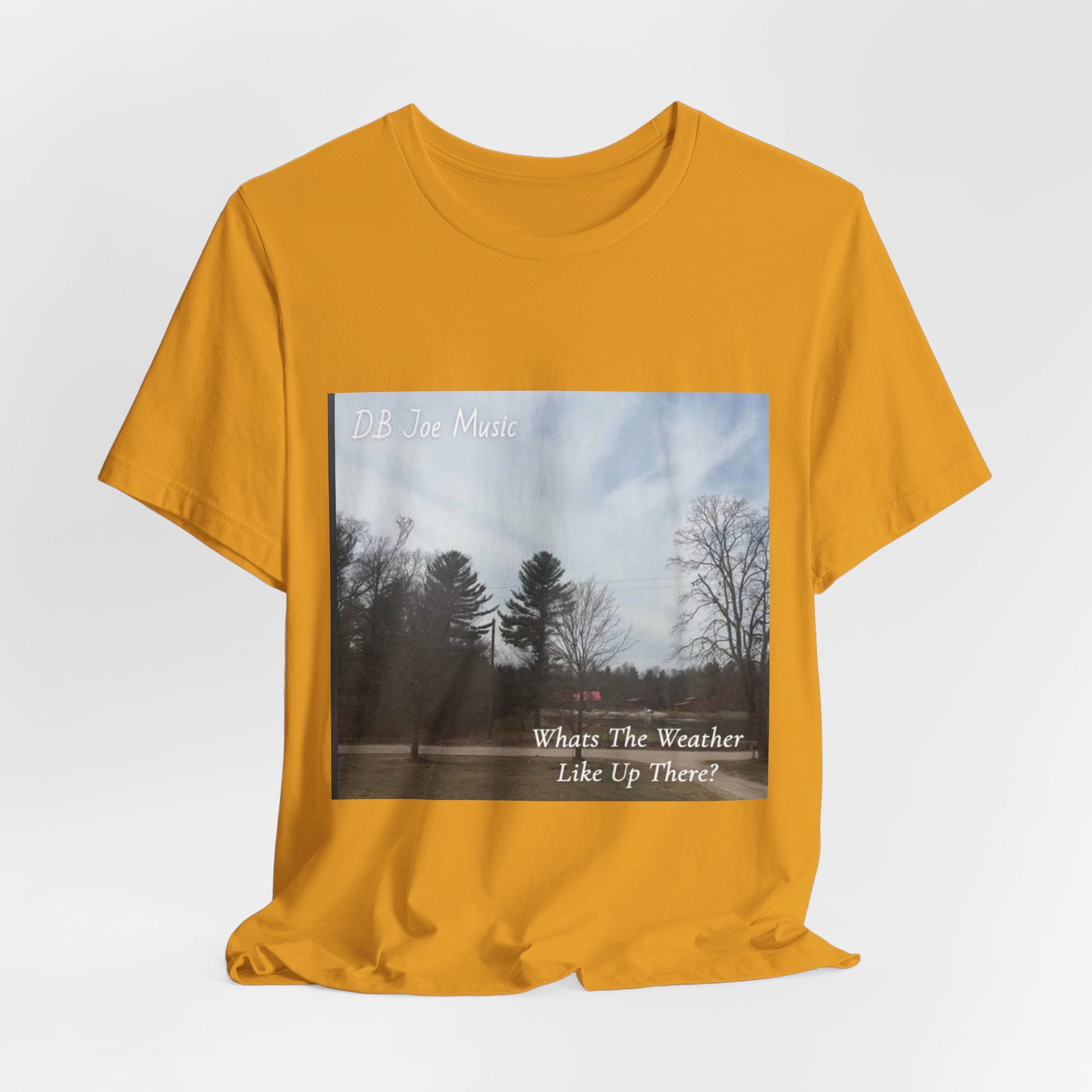 D.B Joe Music Whats The Weather Like Up There? Tee