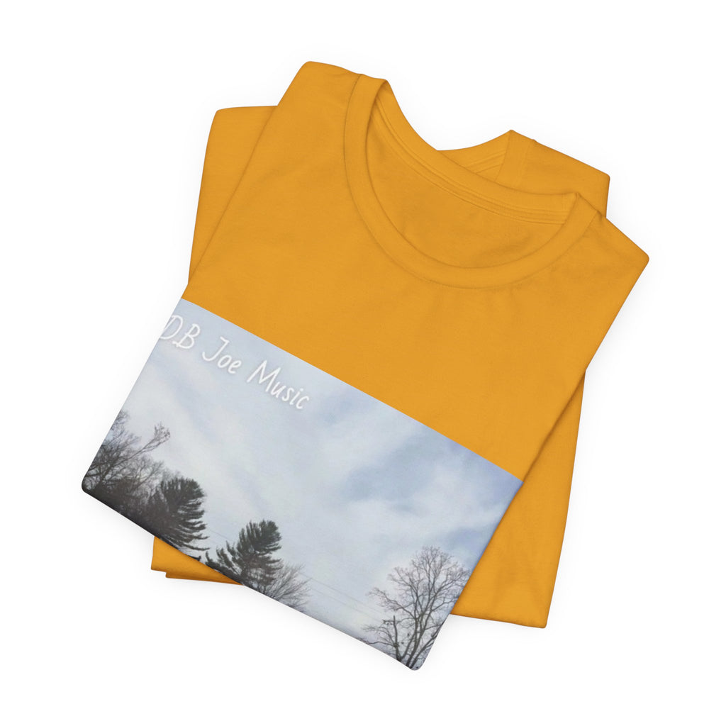 D.B Joe Music Whats The Weather Like Up There? Tee