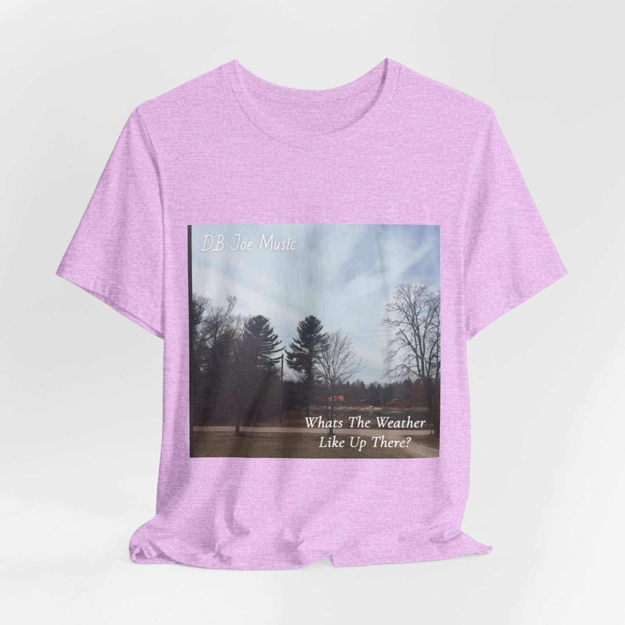 D.B Joe Music Whats The Weather Like Up There? Tee