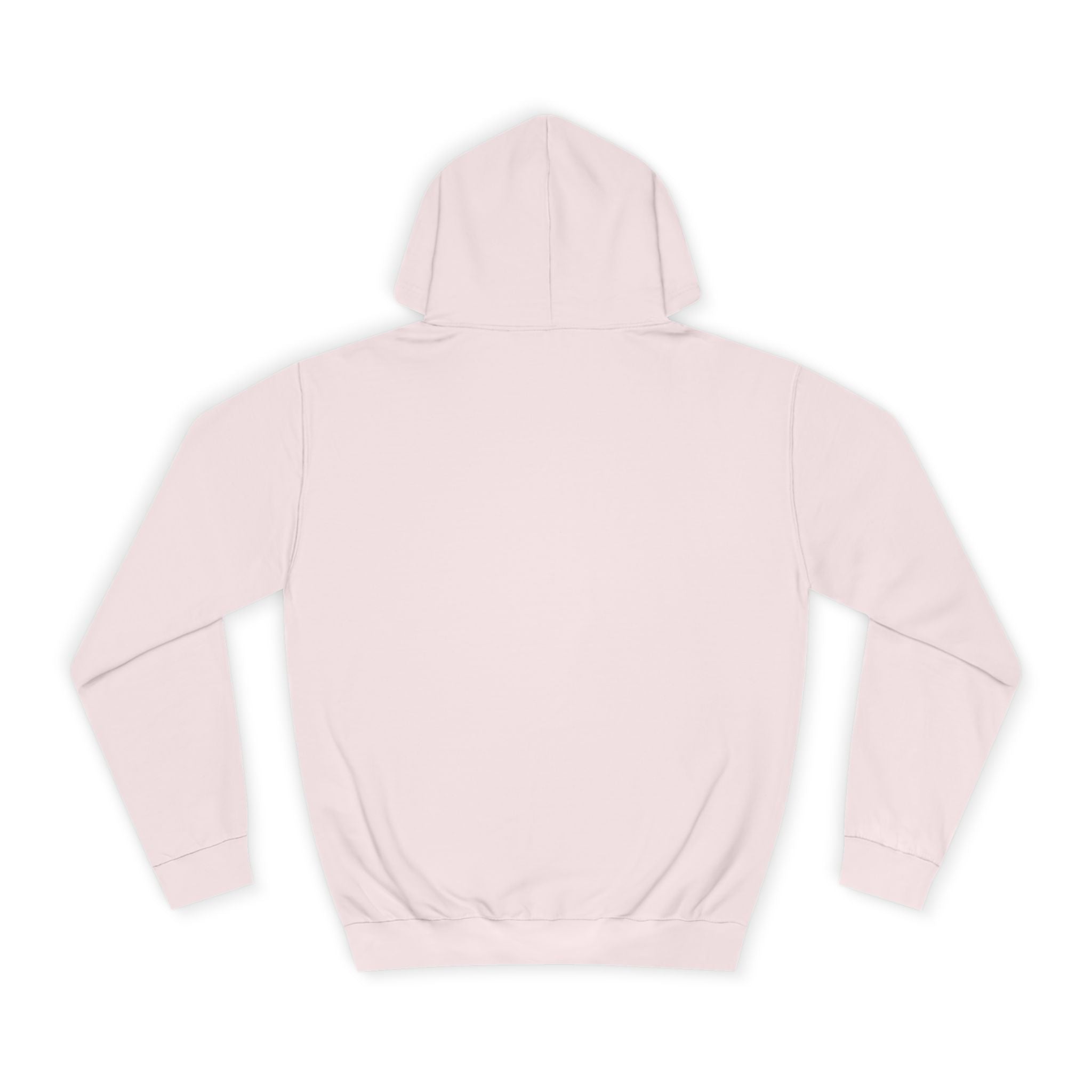 D.B Joe Music Whats The Weather Like Up There? Hoodie