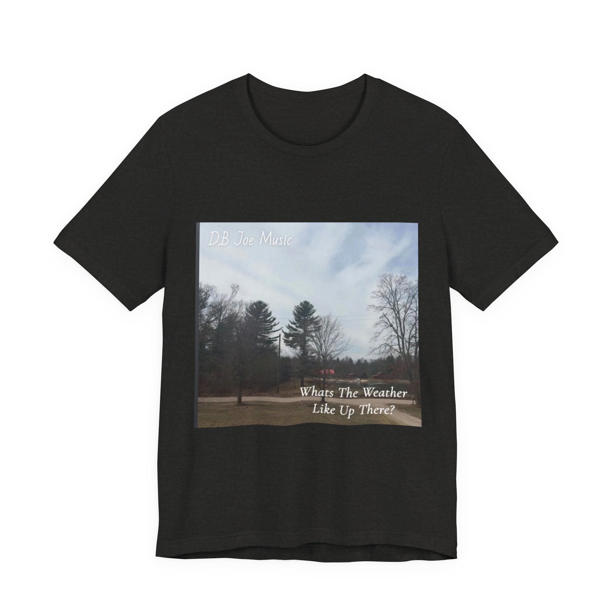 D.B Joe Music Whats The Weather Like Up There? Tee