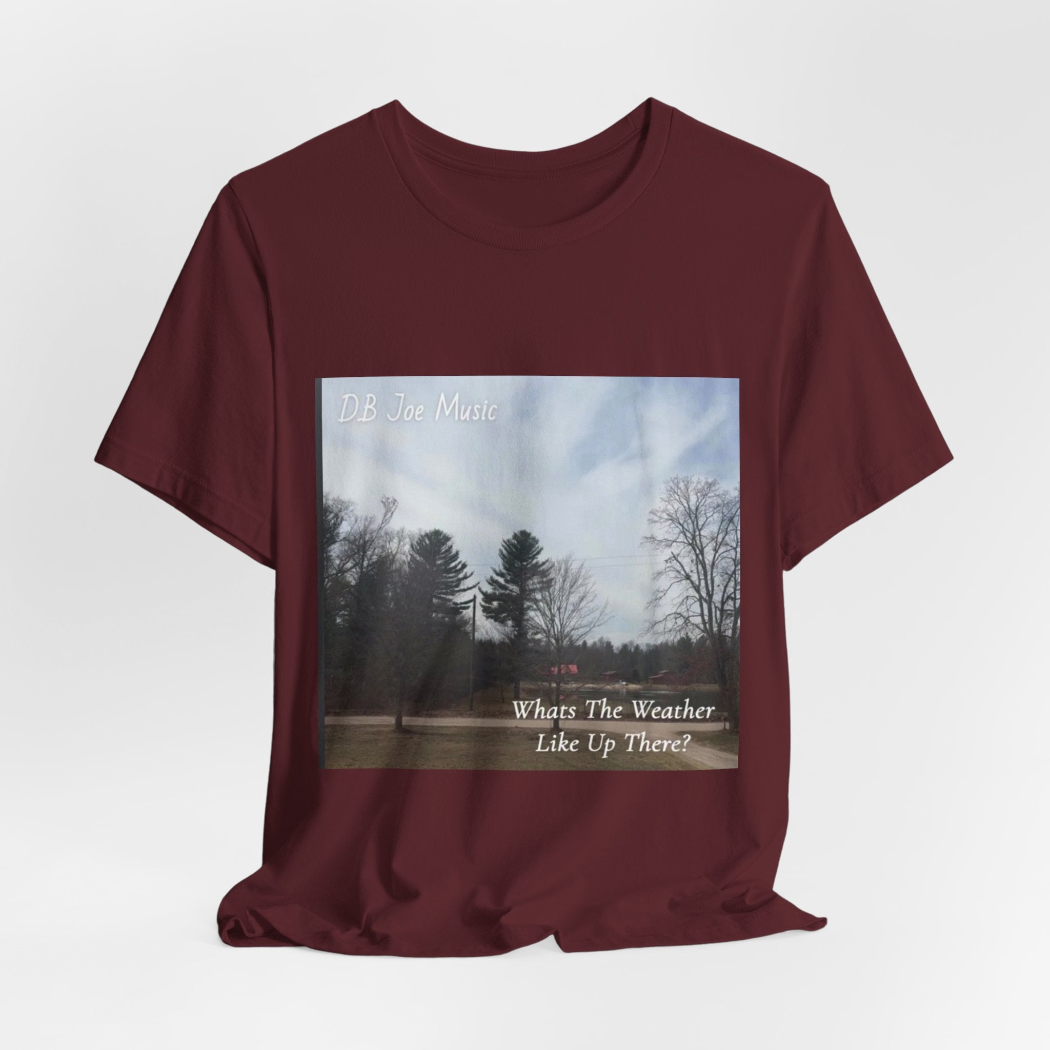 D.B Joe Music Whats The Weather Like Up There? Tee