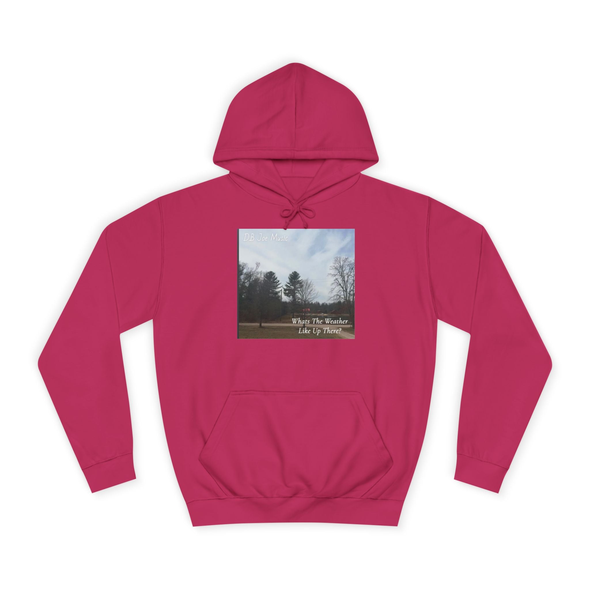 D.B Joe Music Whats The Weather Like Up There? Hoodie