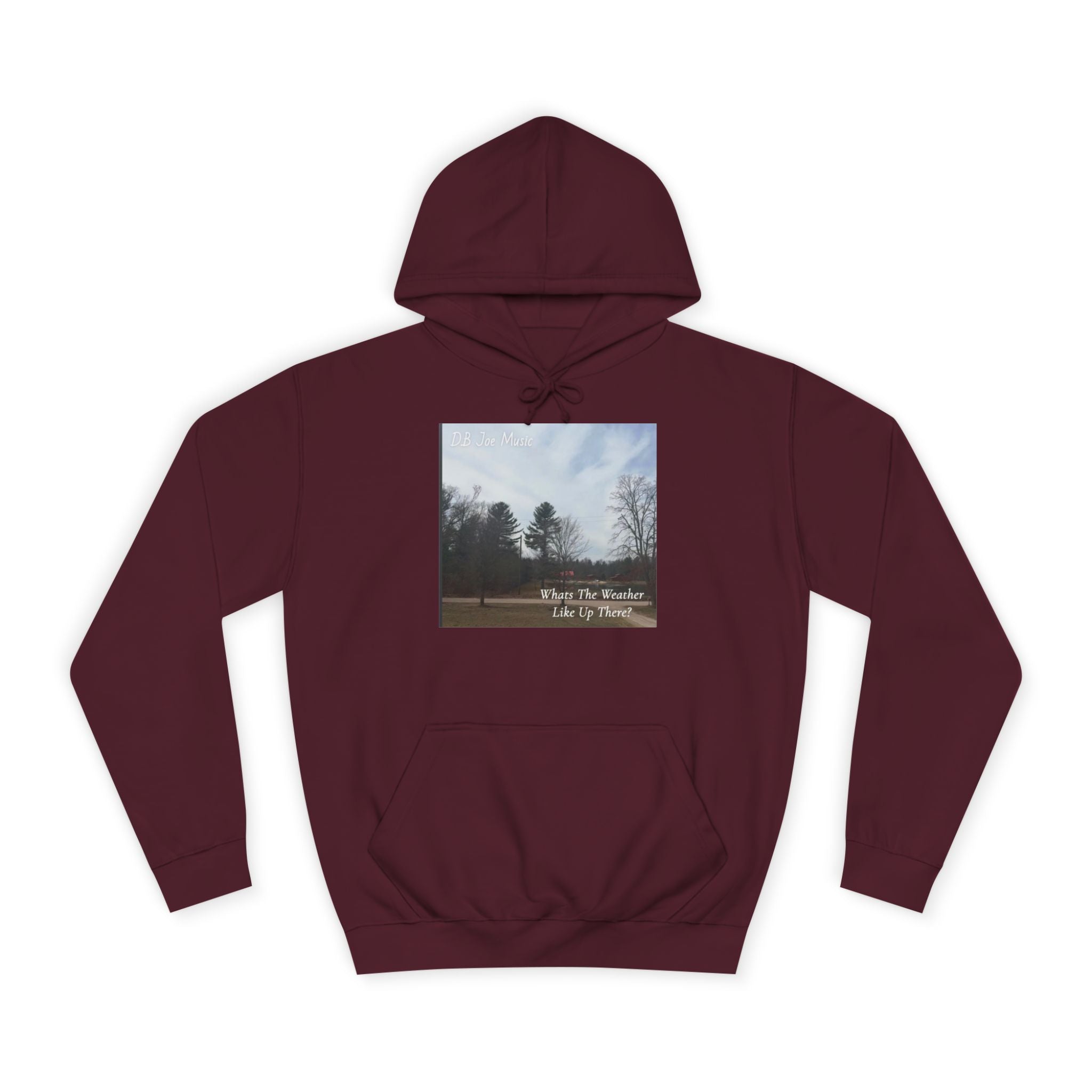 D.B Joe Music Whats The Weather Like Up There? Hoodie