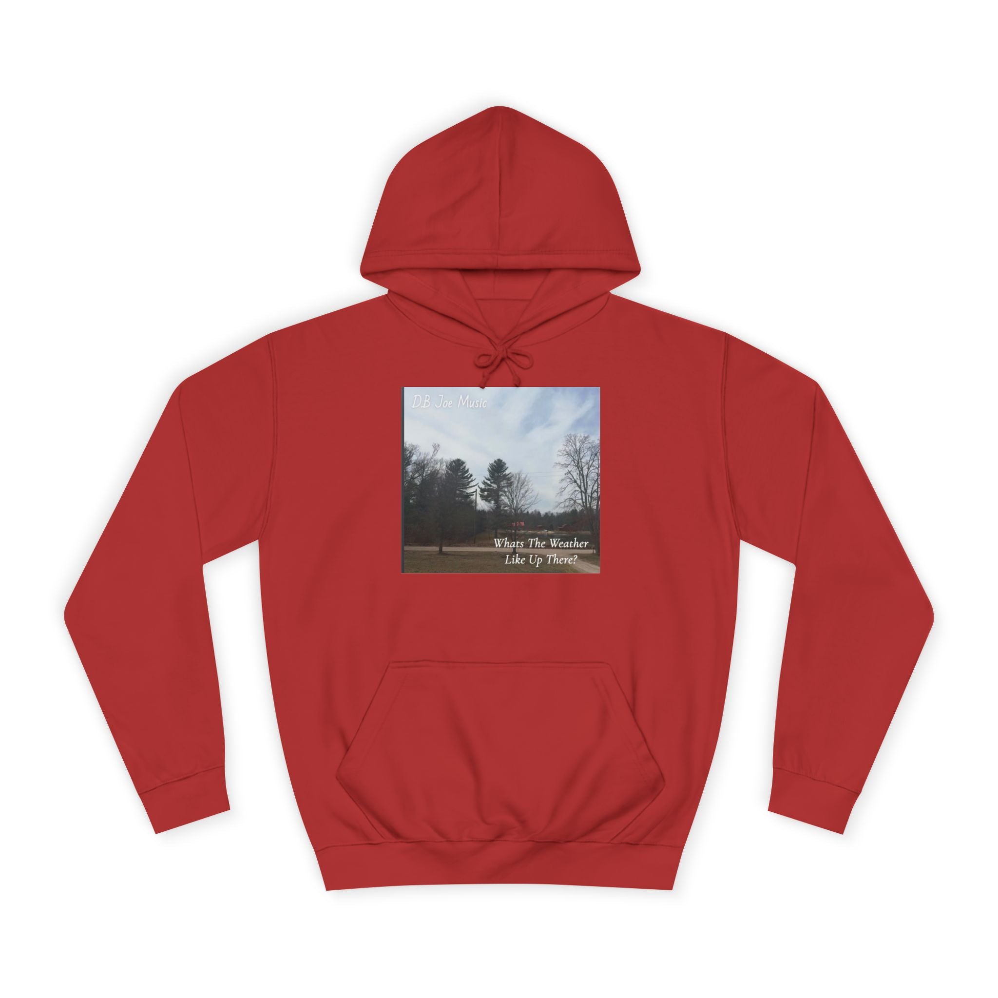 D.B Joe Music Whats The Weather Like Up There? Hoodie