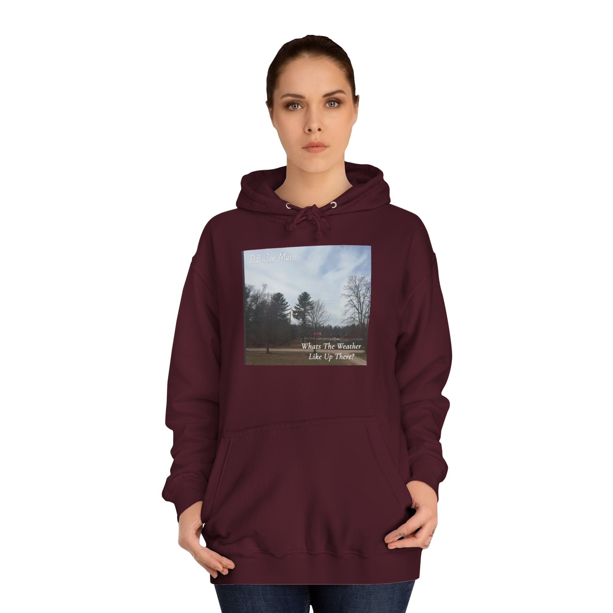 D.B Joe Music Whats The Weather Like Up There? Hoodie