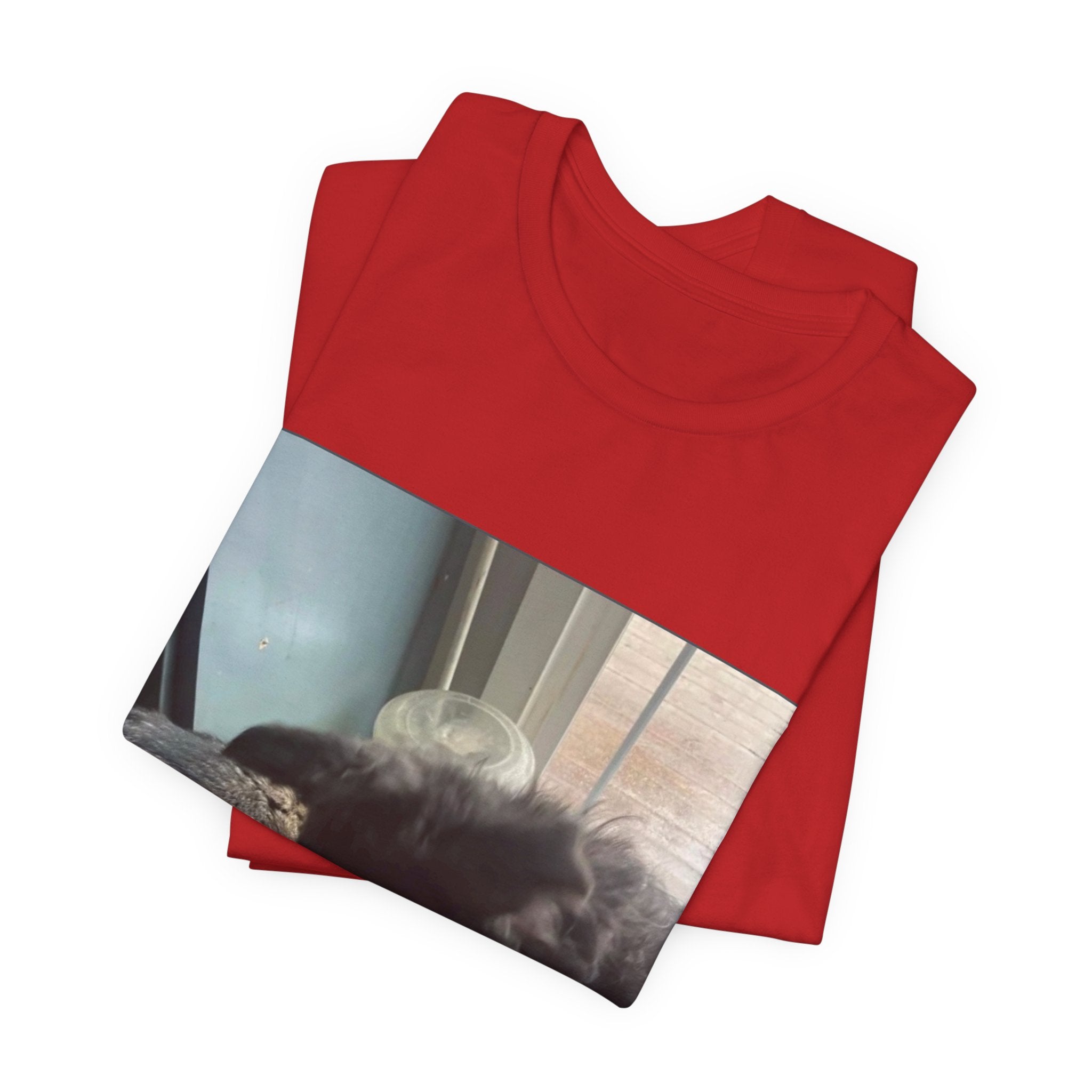 D.B Joe Music Dear Oliver Tee