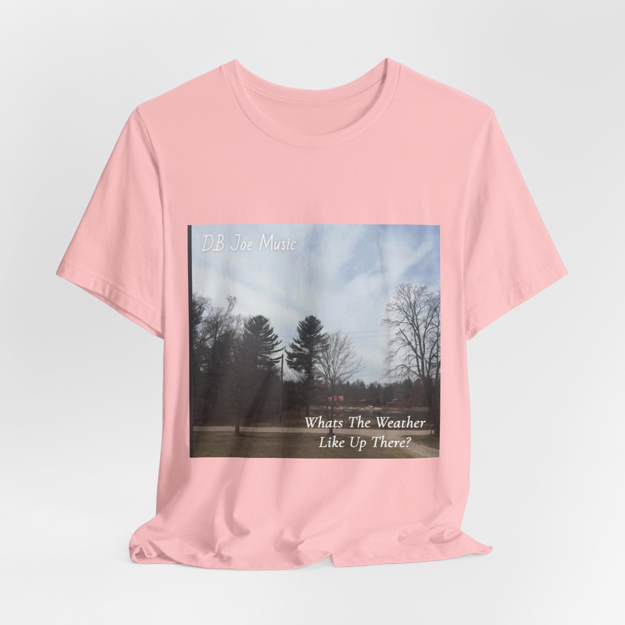 D.B Joe Music Whats The Weather Like Up There? Tee