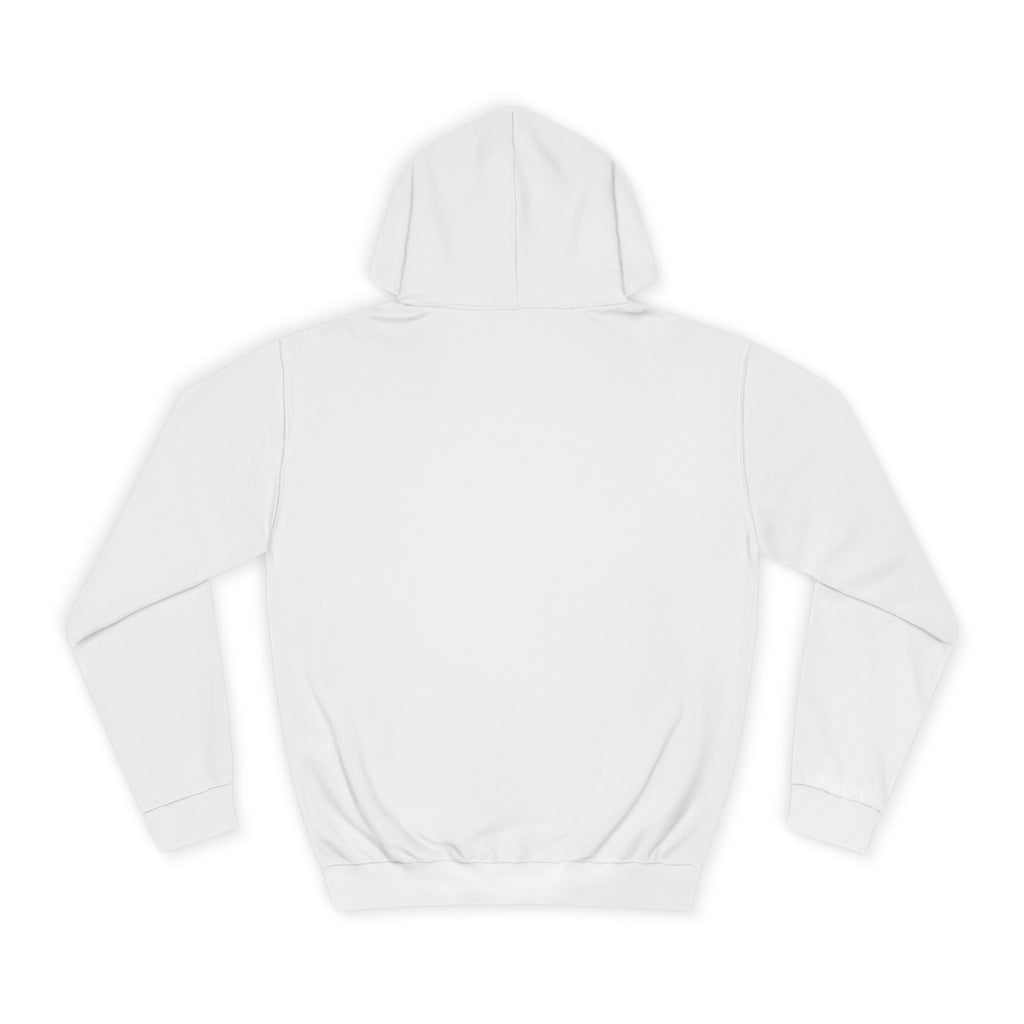 D.B Joe Music Whats The Weather Like Up There? Hoodie