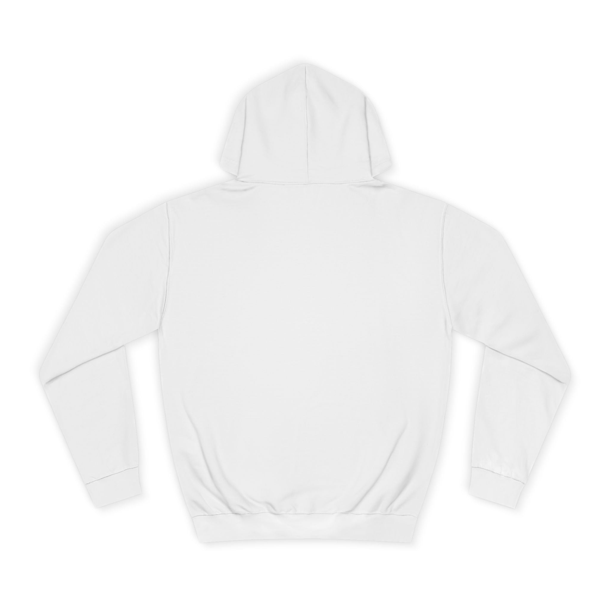 D.B Joe Music Whats The Weather Like Up There? Hoodie