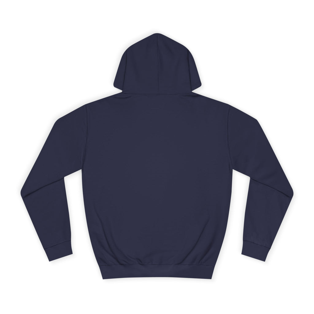 D.B Joe Music Whats The Weather Like Up There? Hoodie