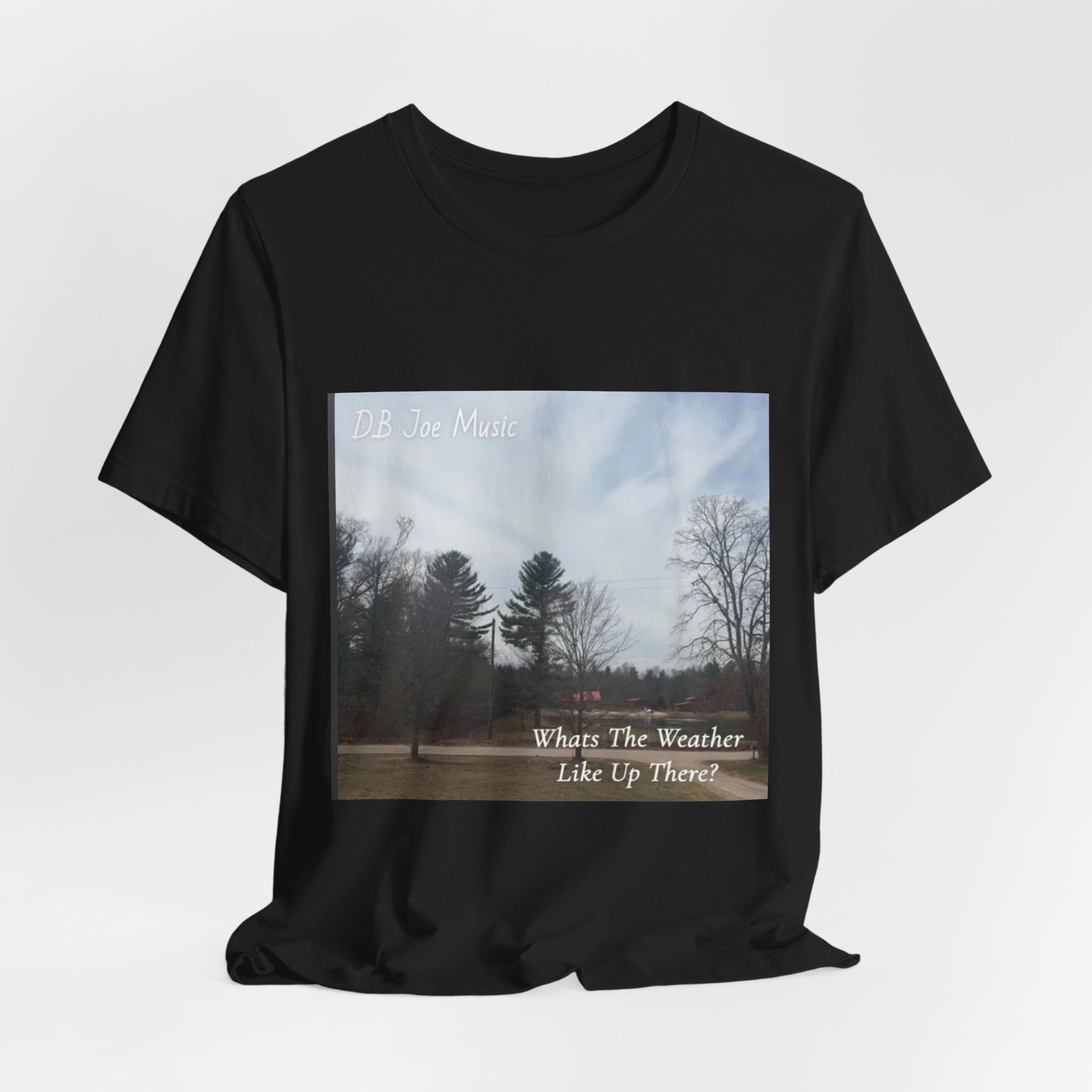 D.B Joe Music Whats The Weather Like Up There? Tee