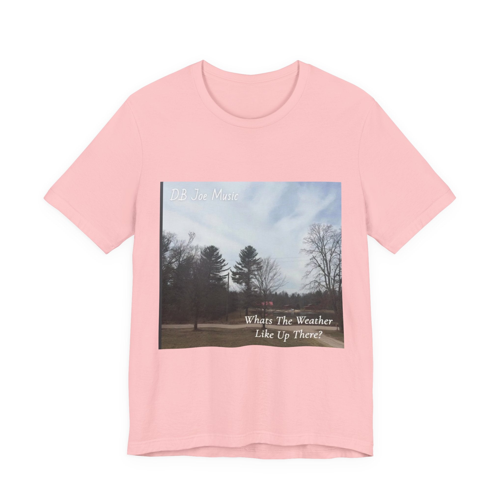 D.B Joe Music Whats The Weather Like Up There? Tee
