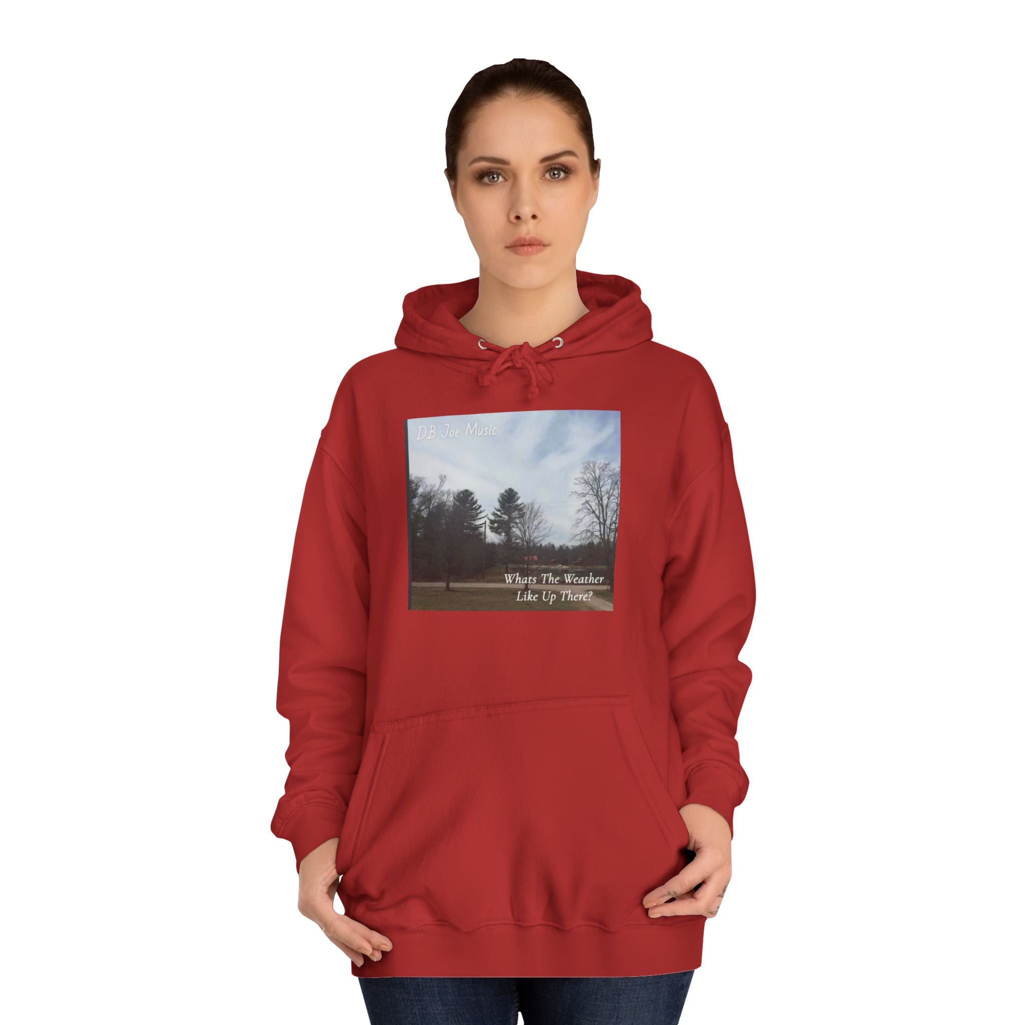 D.B Joe Music Whats The Weather Like Up There? Hoodie