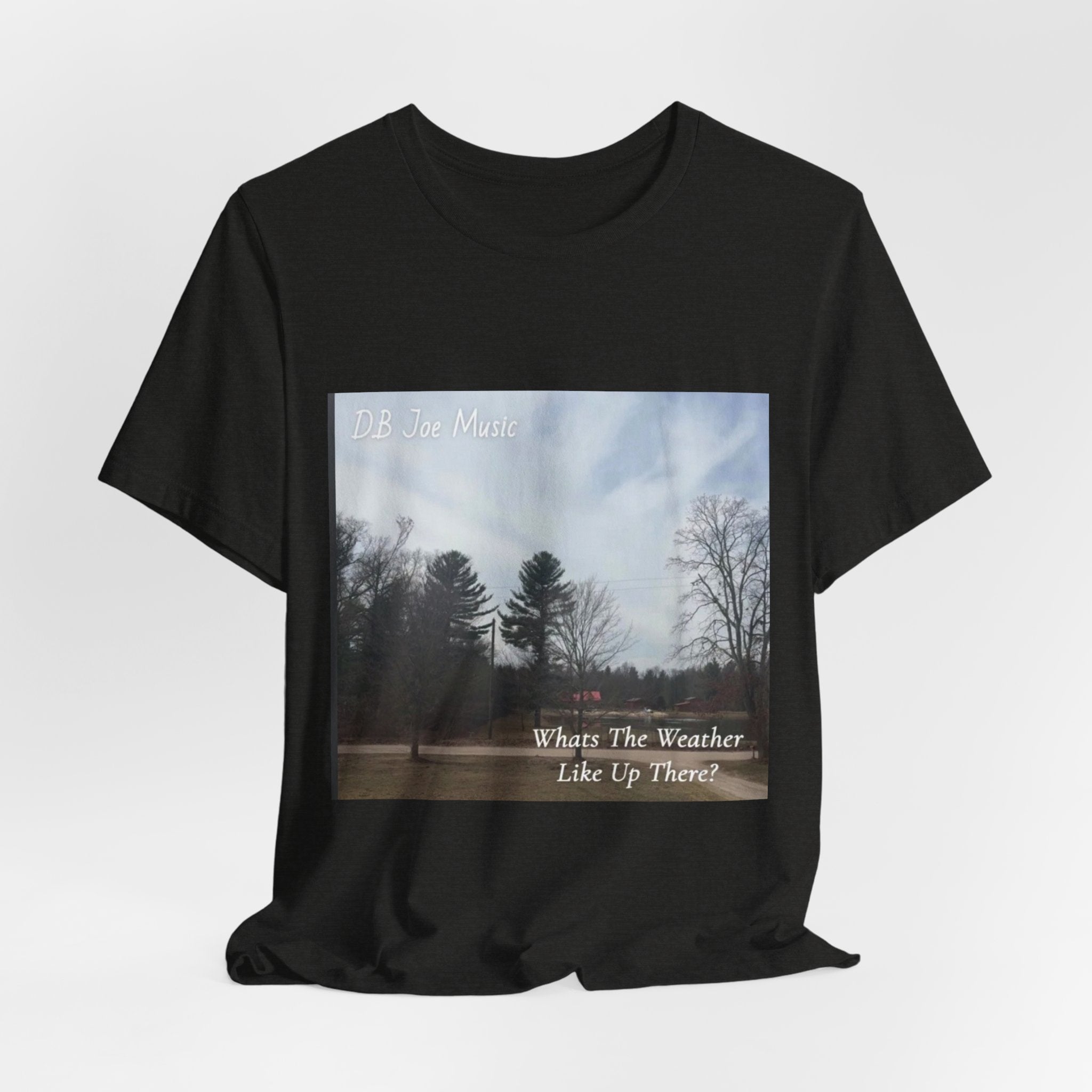 D.B Joe Music Whats The Weather Like Up There? Tee