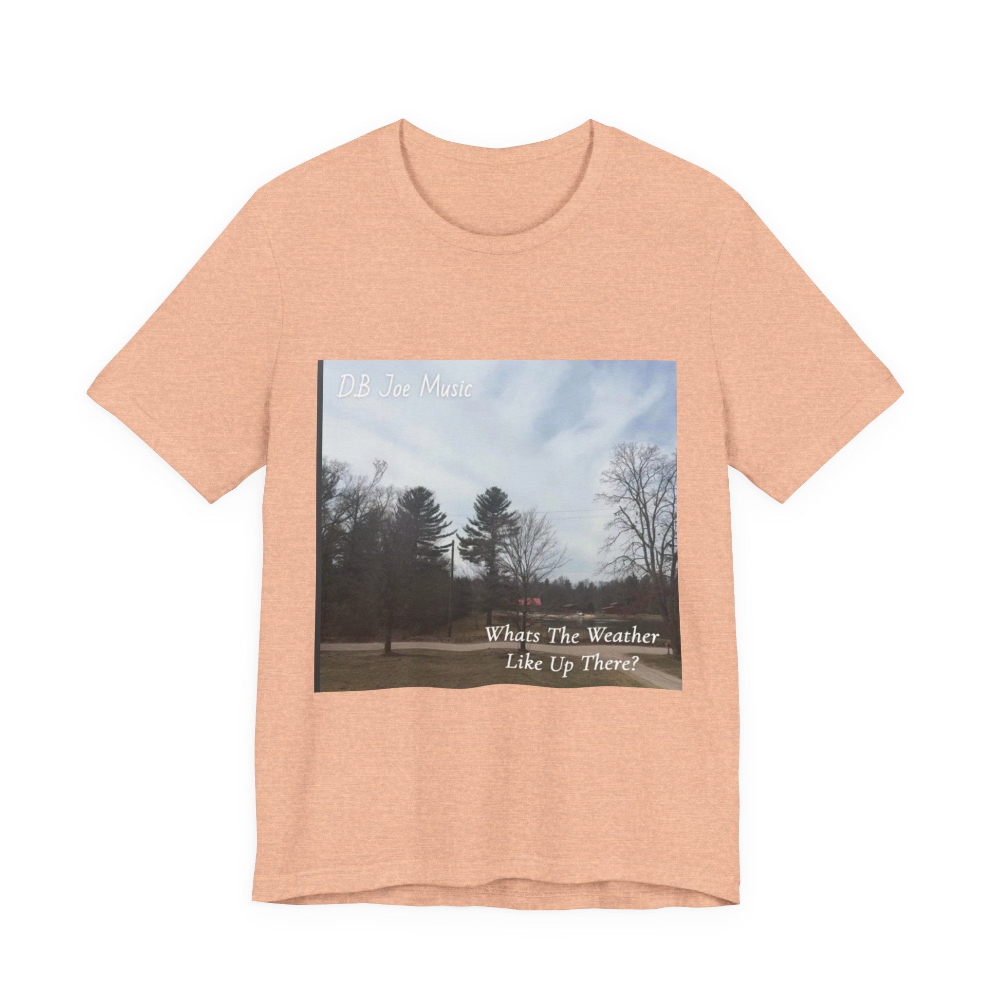 D.B Joe Music Whats The Weather Like Up There? Tee