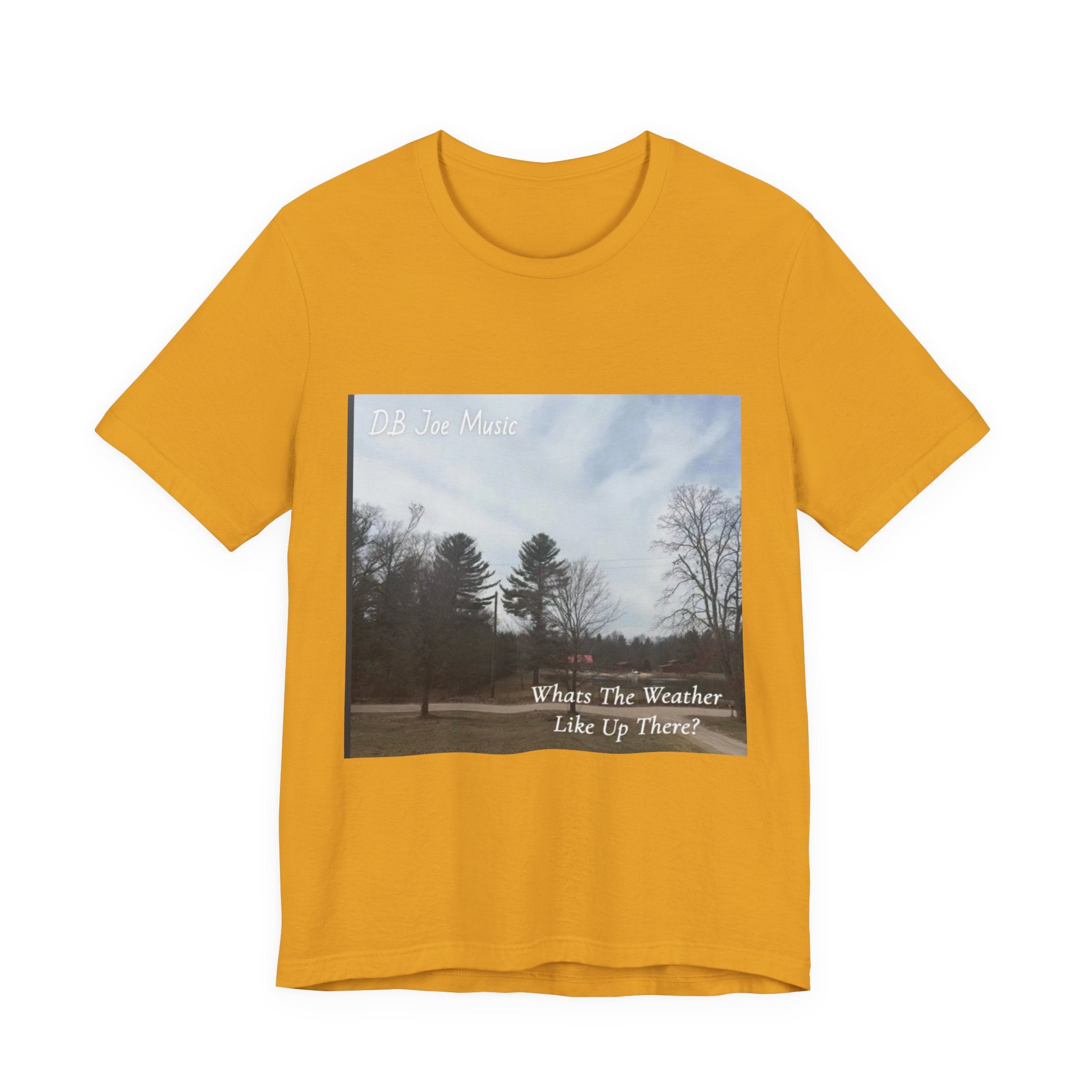 D.B Joe Music Whats The Weather Like Up There? Tee