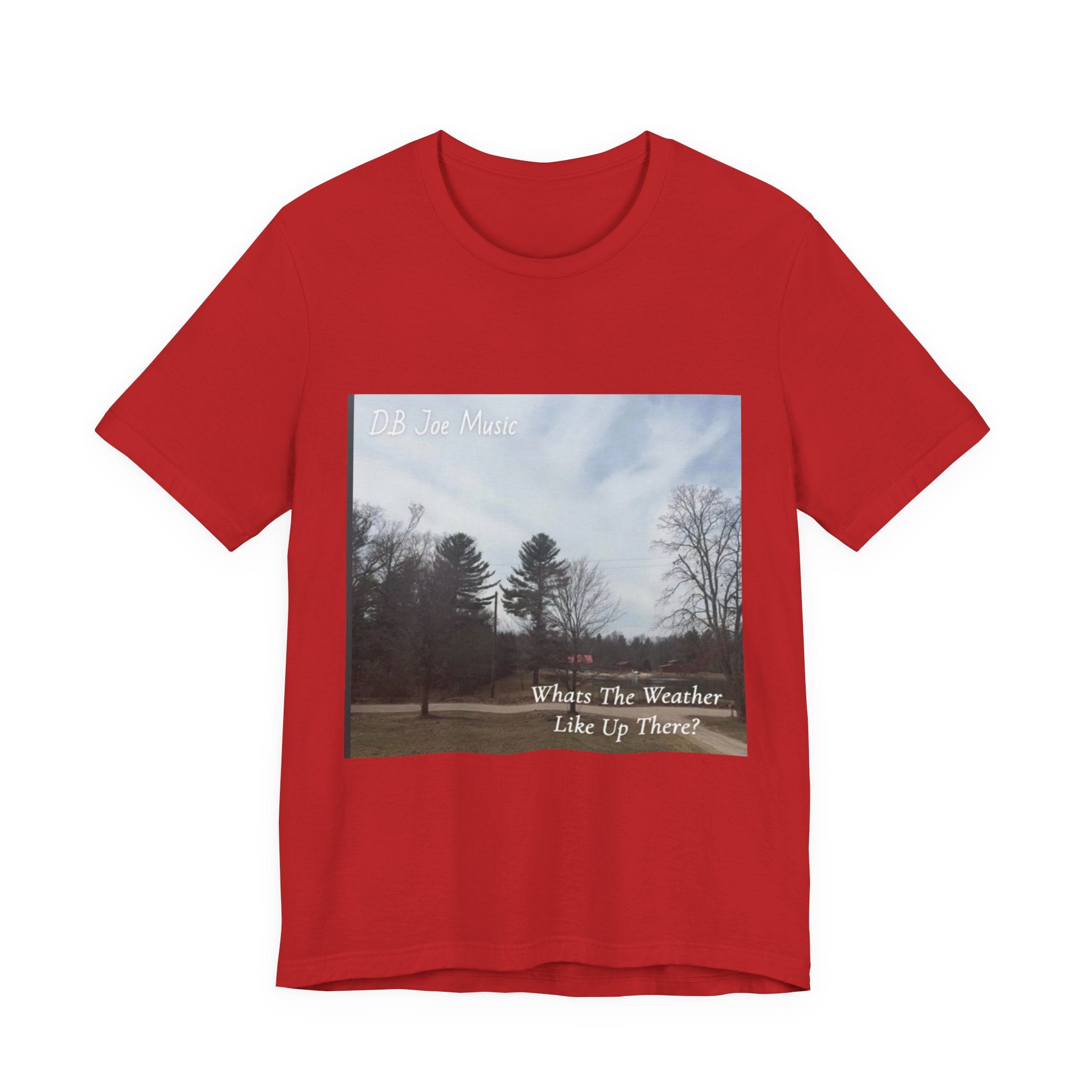 D.B Joe Music Whats The Weather Like Up There? Tee