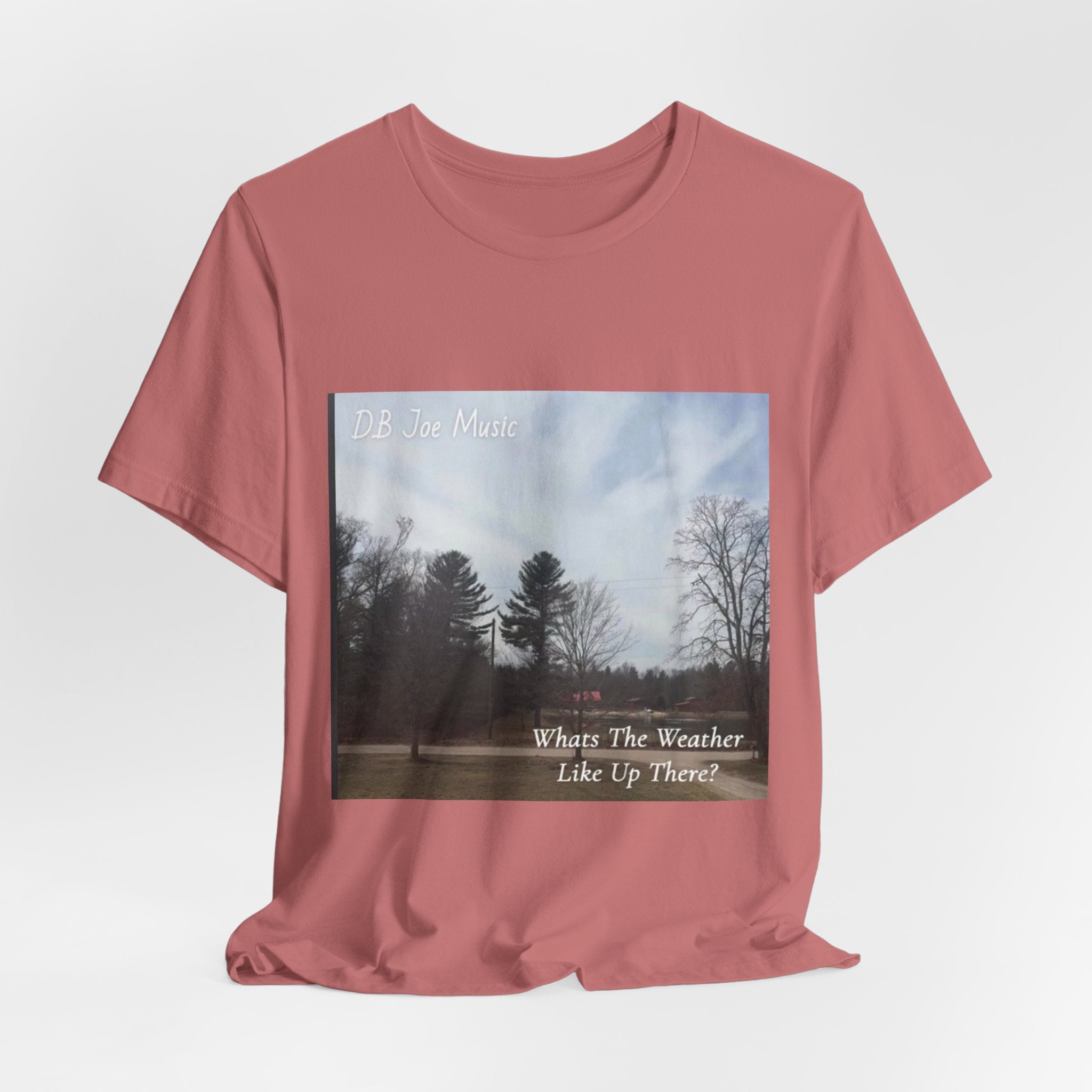 D.B Joe Music Whats The Weather Like Up There? Tee