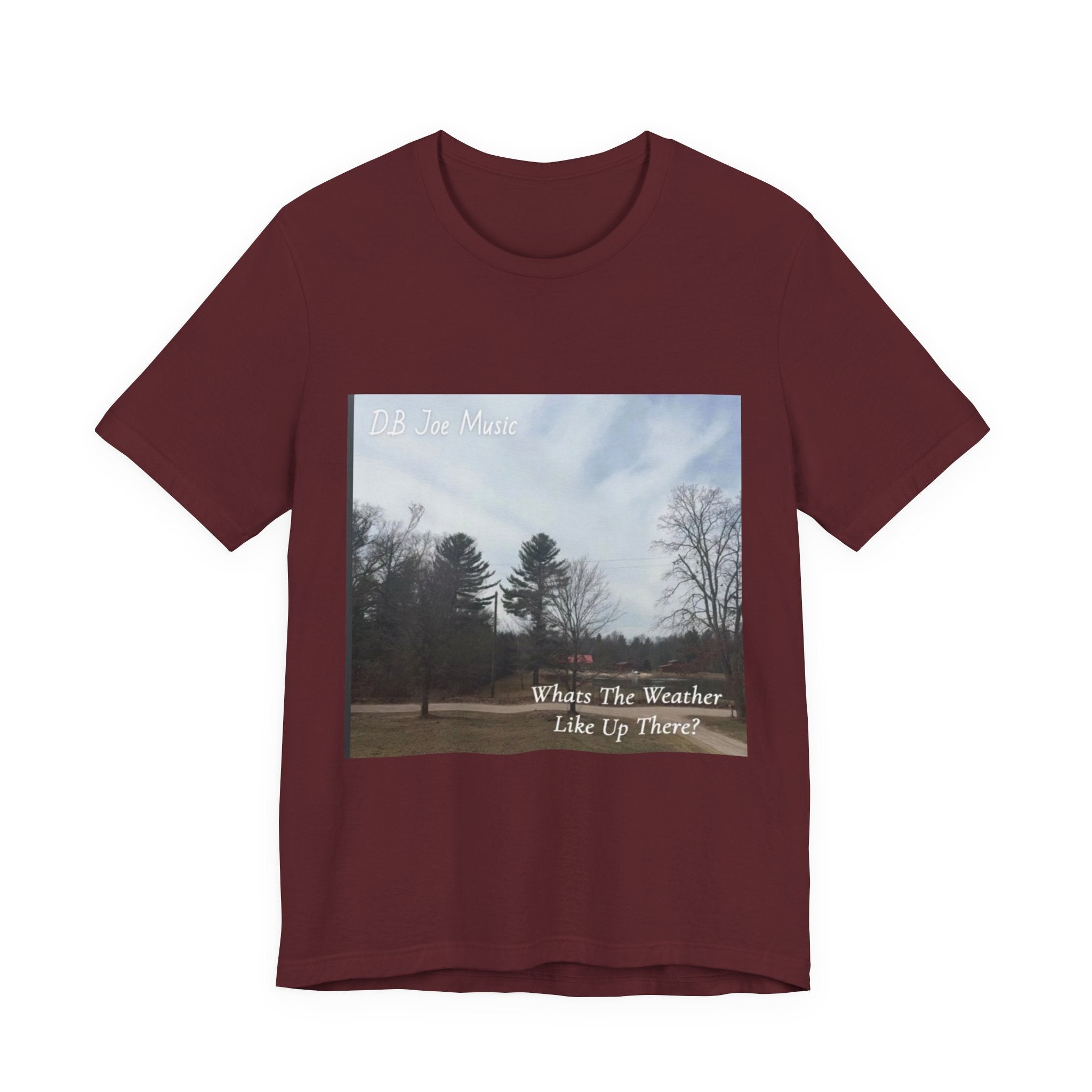 D.B Joe Music Whats The Weather Like Up There? Tee