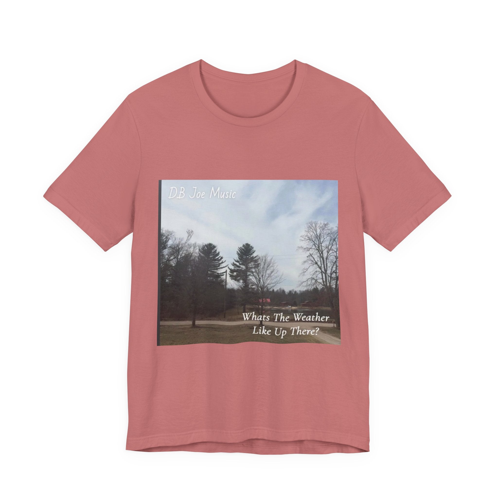 D.B Joe Music Whats The Weather Like Up There? Tee