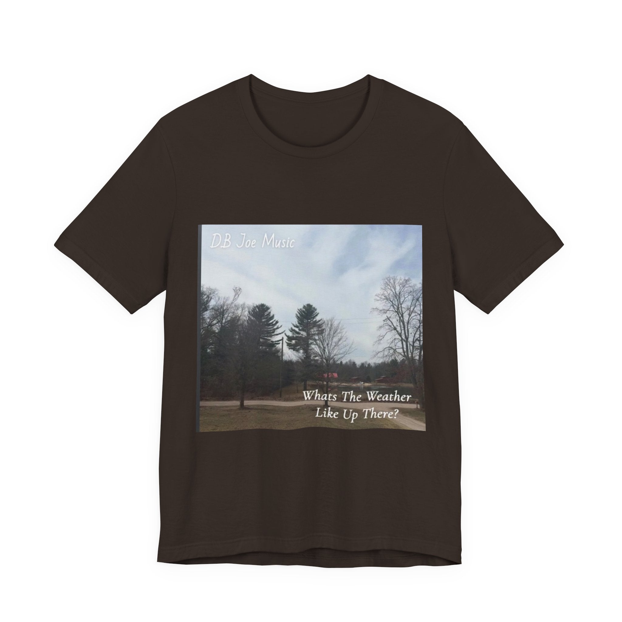 D.B Joe Music Whats The Weather Like Up There? Tee