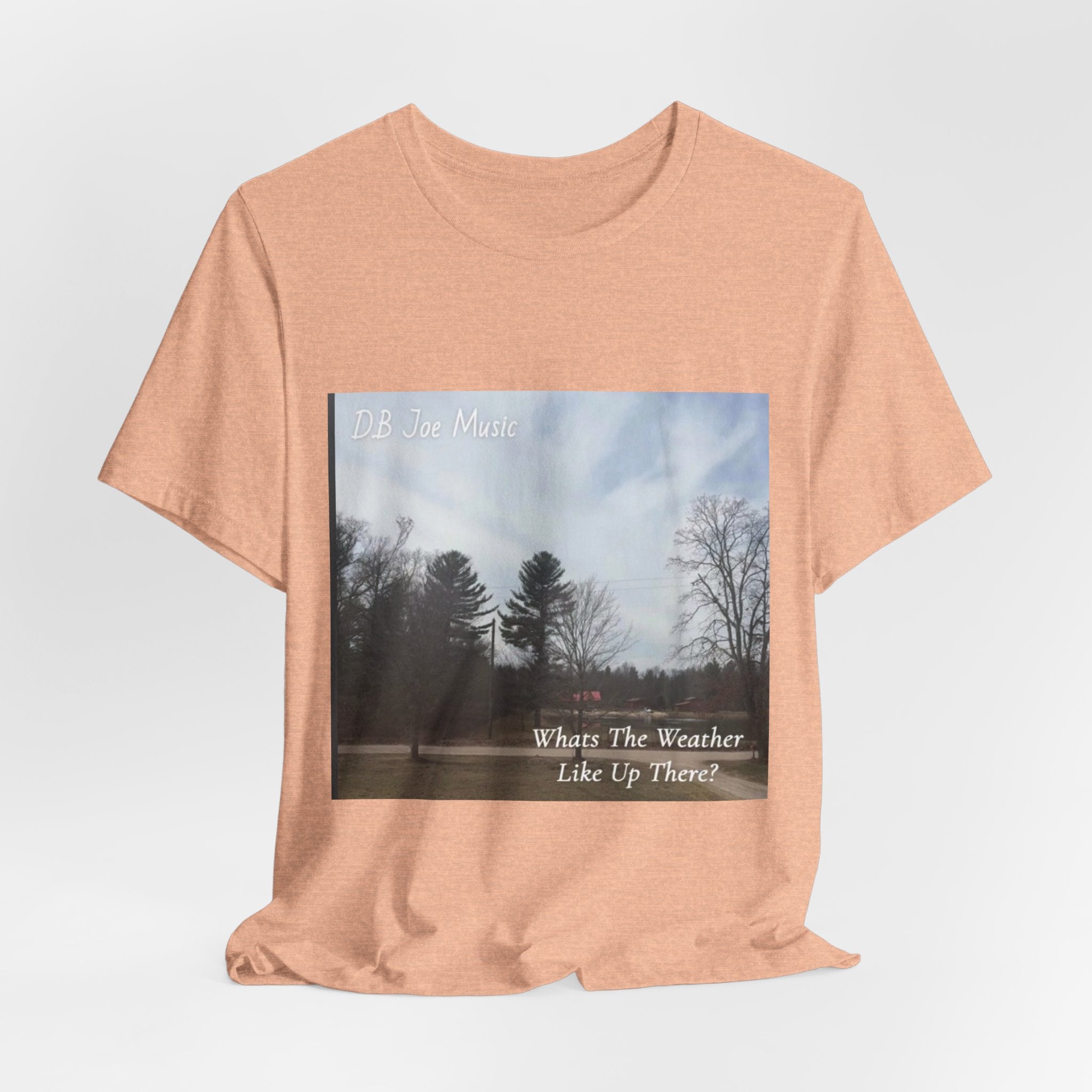 D.B Joe Music Whats The Weather Like Up There? Tee