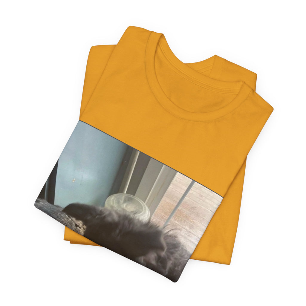 D.B Joe Music Dear Oliver Tee